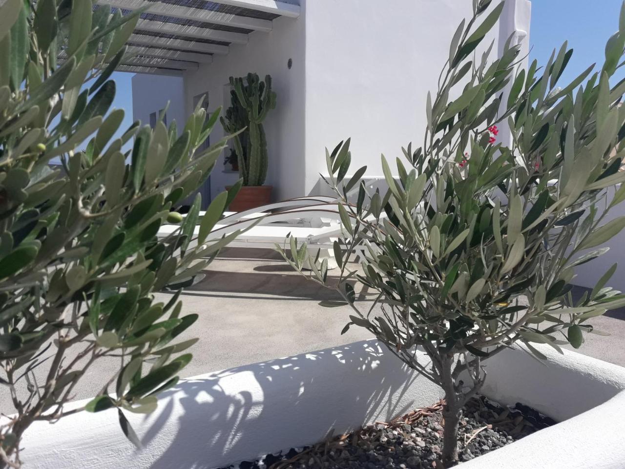 Sun Anemos Resort Oia  Exterior foto